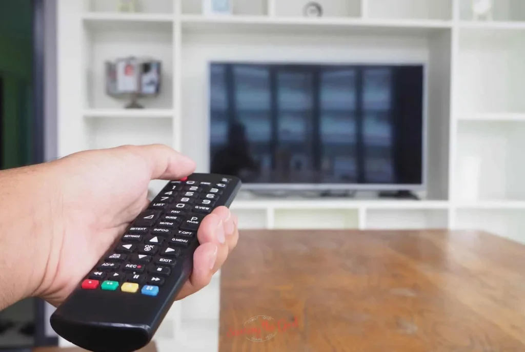 RCA Universal Remote Codes For Vizio TV